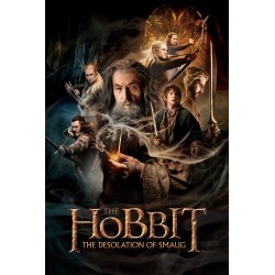 Hobbit - The Desolation of Smaug