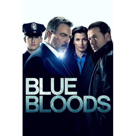 Blue Bloods - Season 1 - DVD