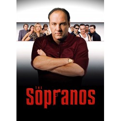 The Sopranos  Season 1  - DVD