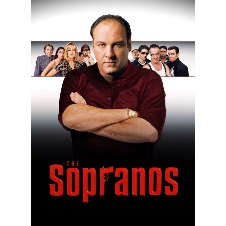 The Sopranos  Season 1  - DVD
