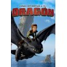 Cómo Entrenar a tu Dragón  DVD