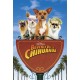 Un chihuahua en Beverly Hills 3 DVD