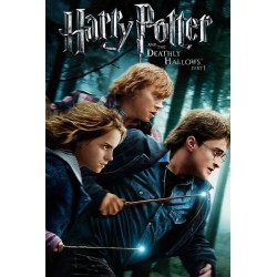 Harry Potter and the Deathly Hallows Part 1 3D & DVD